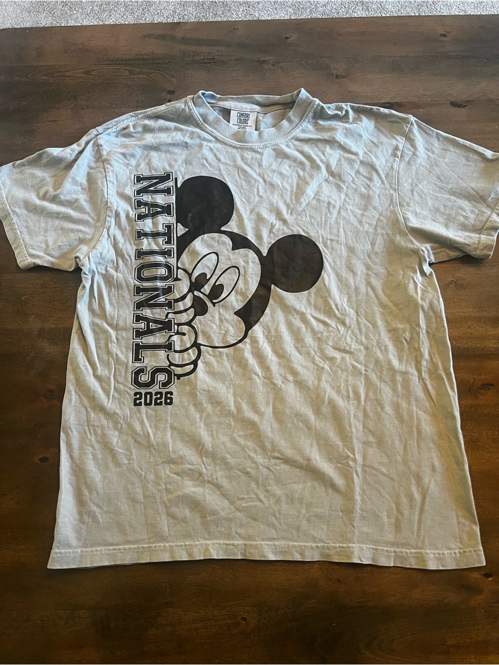 Comfort Colors Disney Mickey Mouse Nationals 2026 T-Shirt Large